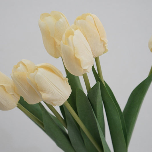 Tulip